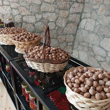 Vila Rira - Rrajce, Shebenik Perrenjas 외부 사진