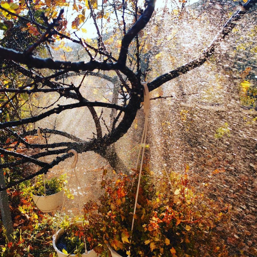 Vila Rira - Rrajce, Shebenik Perrenjas 외부 사진