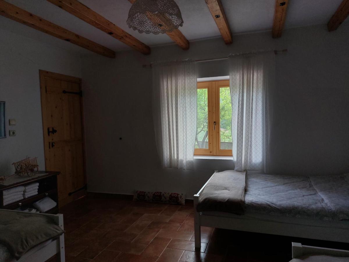 Vila Rira - Rrajce, Shebenik Perrenjas 외부 사진