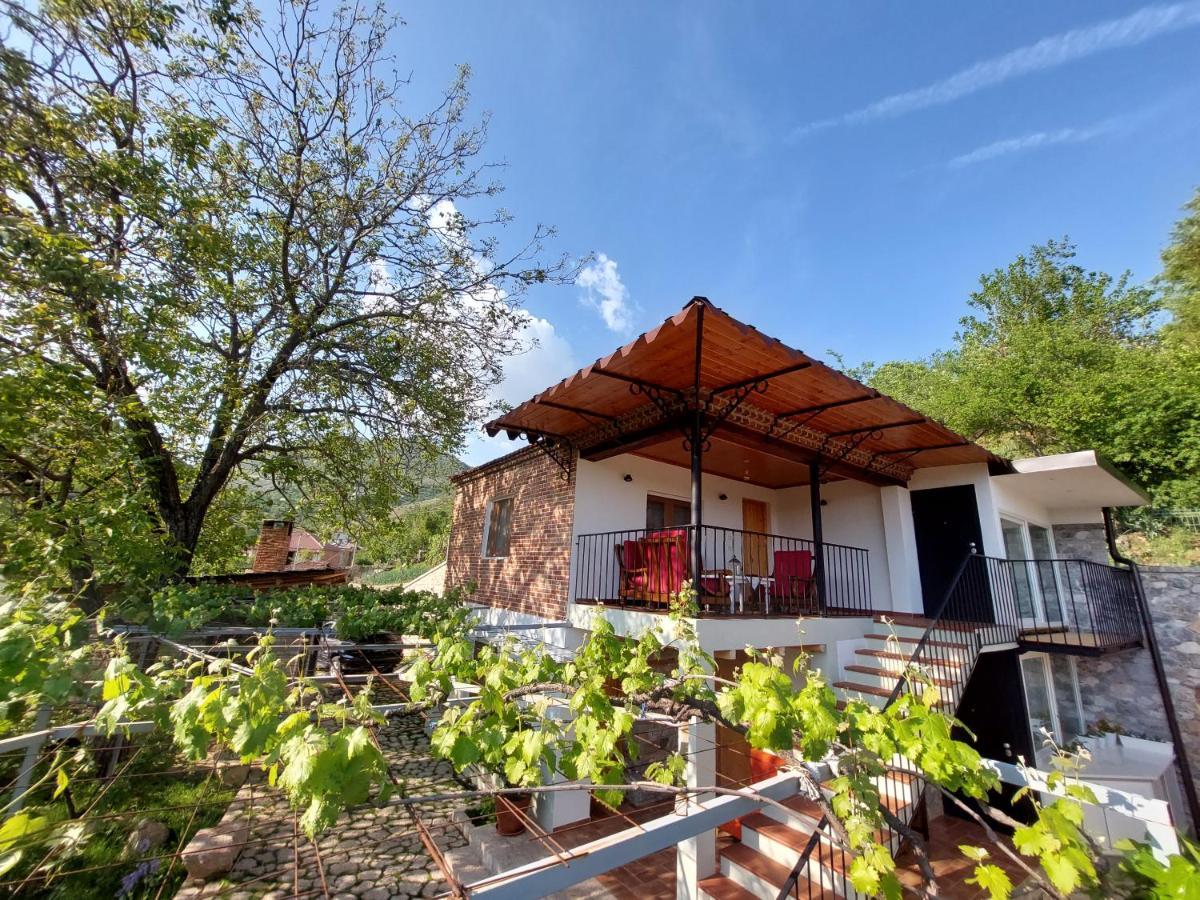 Vila Rira - Rrajce, Shebenik Perrenjas 외부 사진